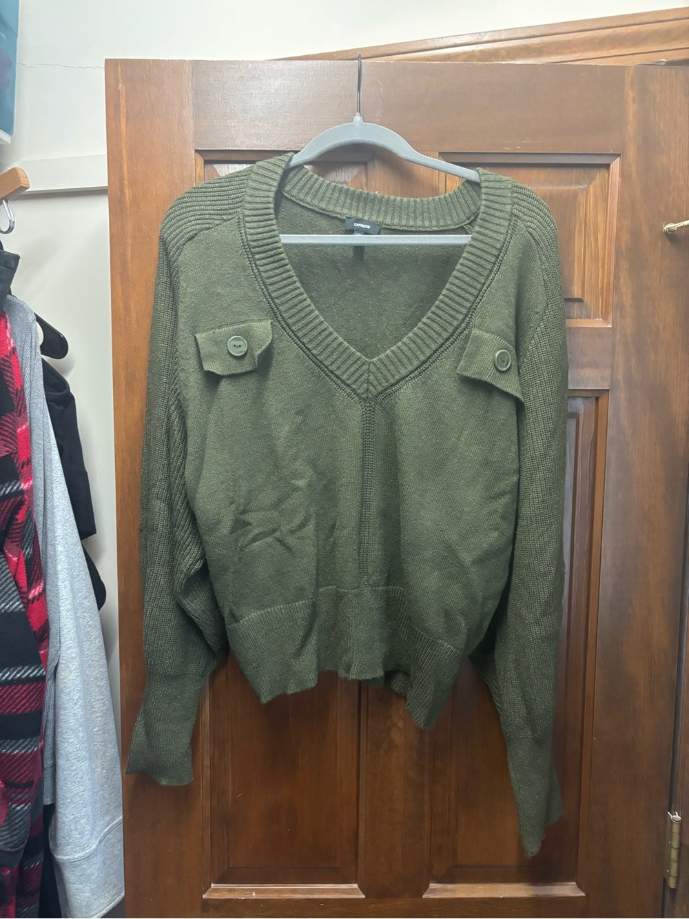Express Olive Green V-Neck Sweater with Button Details